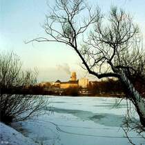 Anhaltender Frost hat das an der  Broicher Schlagd  gestaute Wasser mit einer Eisschicht �berzogen (4. Februar 1996).