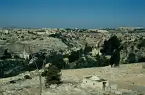 Blick vom �lberg �ber den Garten Gethsemane auf Alt-Jerusalem (Dia von 1984)