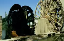 Wasserr�der in Hama 1989