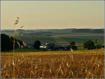 Das Dorf Crendal liegt friedlich im Abendlicht des 30.07.2010. (Jeanny)