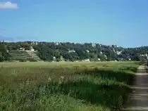Dresden, Blick von den Elbwiesen zum Stadtteil  Weier Hirsch  dem Nobelviertel der Stadt in exponierter Lage, Okt.2009