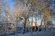 Winterzauber in Nieblum auf Fhr
(21.12.2010)