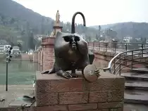 Am ehemaligen nrdlichen Brckenturm war ab dem frhen 17. Jahrhundert das Relief eines Affen angebracht, der sich ans Hinterteil fasste und sich gleichzeitig einen Spiegel vorhielt. Dieses Motiv geht ikonografisch vermutlich auf einen lteren Stadtaffen zurck, der sich an anderer Stelle der Stadt befunden hatte.Bei der Zerstrung von 1689 wurde der Affenturm gesprengt und der Brckenaffe ging verloren. 1977 schrieb der Verein Alt-Heidelberg einen Wettbewerb fr eine moderne Neugestaltung des Brckenaffen aus, der zugunsten eines Entwurfs des Bildhauers Gernot Rumpf entschieden wurde. Die 1979 geschaffene Bronzeskulptur am Sdufer greift das Motiv der Selbstreflexion auf, indem sie dem Betrachter einen metaphorisch zu deutenden Spiegel vorhlt. Neben dem Affen ist das besagte Spottgedicht angebracht. Zwei kleine Mausfiguren erinnern an das kurfrstliche Kornhaus, das sich ehemals an dieser Stelle neben dem Brckentor befand. Der Kopf des Affen ist hohl gestaltet, so dass man den eigenen Kopf in ihn hineinstecken kann – ein Motiv das gerne von Heidelberg-Touristen als Motiv fr Erinnerungsfotos genutzt wird. Am 24.02.11 in Heidelberg Alte Brcke