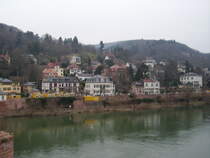 Ein paar Villen an Neckarufer in Heidelberg am 24.02.11