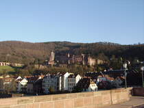 Das Heidelberger Schloss am 02.03.11