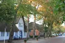 Nieblum auf F�hr, Kertelhein-Allee, 08.09.2009