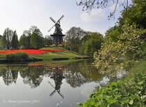 Die Mhle am Wallgraben im Frhling. Aufnahme am 22.04.2011.Gallerihollnder mit Windrosensteuerung. Hhe 27m - Baujahr 1898. Seit 1953 steht die Mhle unter Denkmalschutz.