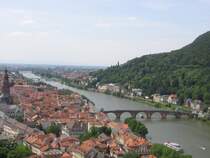 Ein wunderbarer �berblick �ber Heidelberg mit dem Neckar der mittendurch flie�t (10.06.06)