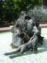 B�rin rettet ihren Nachwuchs vor dem sicheren Ertrinkungstod in einem Bromberger Brunnen. (28.06.2011)