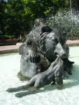 B�rin rettet ihren Nachwuchs vor dem sicheren Ertrinkungstod in einem Bromberger Brunnen. (28.06.2011)