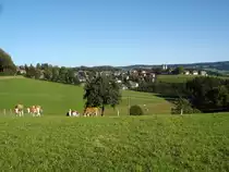 St.M�rgen im Schwarzwald, Blick auf den Ort, Aug.2006