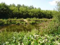 Ein Blick auf ein Teilst�ck der teilweise renaturierten Ems. Die  Kanalisierung  (Entkopplungsverfahren) der Ems wurde 1938 im Gebiet der heutigen Stadt Rheda-Wiedenbr�ck abgeschlossen. Seit 1973 Rheda wird �ber Renaturierungsma�nahmen diskutiert, welche teilweise realisiert worden sind.          