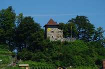 Burg Niederurnen, Kanton Glarus (03.07.2011)