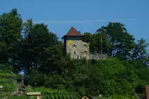 Burg Niederurnen, Kanton Glarus (03.07.2011)