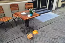 DEVENTER (Overijssel), 19.08.2011, Kleine Overstraat - hier gibt's auch Wasser f�r falsche Hunde