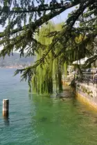 SAL� (Provinz Brescia), 30.09.2011, am See ungef�hr auf H�he des Doms