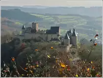 Die Burg Bourscheid im Herbst. 06.11.2011 (Jeanny)