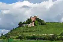 Schlo� Ortenberg mit Weinberg bei Offenburg - 05.09.2011
