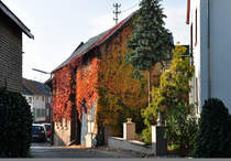 Mit Herbstlaub bedeckter drflicher Bauernhof in Flerzheim (SU-Kreis) - 08.11.2011