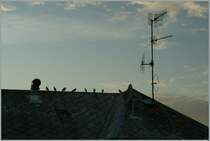 Auch diese Ansicht von Strasbourg hat ihren Reiz, besonders wenn man Tauben und Fernsehantennen mag...
28.10.2011