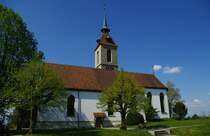Kirchberg, sptgotische Ref. Kirche St. Martin (18.04.2011)