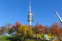 Herbstliche Impression aus dem Olympiapark M�nchen, aufgenommen am 19.11.2011