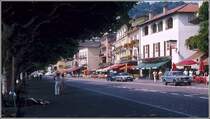 Die Platanen an der Uferpromenade in Ascona bilden im Sommer 1979 ein schattiges Dach. Scan vom Dia.