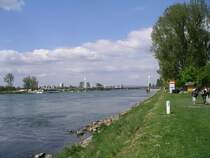 Fu�g�ngerbr�cke  Passarelle des deux rives  (nach dem Architekten inoffiziell auch Mimram-Br�cke genannt) �ber den Rhein zwischen Kehl und Stra�burg. Im Hintergrund die Europabr�cke (Stra�enbr�cke) und dahinter die Eisenbahnbr�cke.

25.04.2004 Kehl
