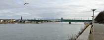 Die Kennedybrcke ber den Rhein in Bonn - 21.02.2012