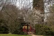 Fr�hling im  Japanischen Garten  im Leverkusener Carl-Duisberg-Park. (Aufnahme vom 24.03.2012)
