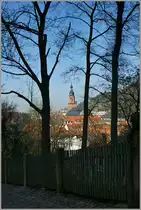 Der Weg zur Burg bietet einen Blick zwischen den B�umen auf die Altstadt von Heidelberg.(28.03.2012)