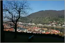 Ausblick von der Terrasse des Schlosses �ber Heidelberg
(28.03.2012)