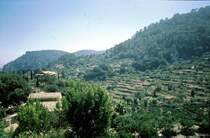 Valdemossa - Terrassen (Sommer 1999)