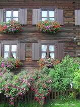 Blumenschmuck an diesem Hof in Gunzesried (Oberallg�u - Sommer 2008)