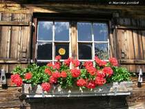 Alpe Gschwenderberg - im Fenster spiegeln sich gegen�berliegende Bergkuppen (Oberallg�u - Sommer 2008)