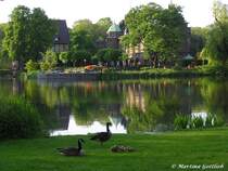 Von der Abendsonne angeleuchtet wird die Insel im Wittringer Teich mit Museum und Haus Wittringen (Gladbeck / NRW - Mai 2005)
