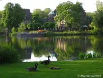 Von der Abendsonne angeleuchtet wird die Insel im Wittringer Teich mit Museum und Haus Wittringen (Gladbeck / NRW - Mai 2005)