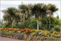 Teignmouth, Bl�ten- und Pflanzentr�ume in einem kleinen Park an der Powderham Terrace. 28.05.2012

