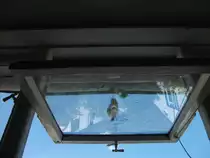 Schnap
pschuss eines Jungvogels vor der Futteraufnahme auf dem K�chenfenster.Foto vom 03.06.2012.