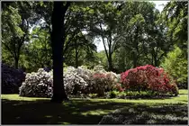 Bremen. Der Rhododendron-Park ist nicht nur w�hrend er Rhododendronbl�te sehenswert. Gleich nebenan befindet sich zudem der Botanische Garten. 24.05.2012. Weitere Infos unter: www.botanika.net