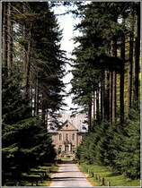 Gut Leye in Osnabr�ck-Atter. Scan eines Dias aus den 1970er Jahren.