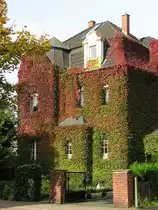 Herbstliches Laub auf einem Stadthaus (Gladbeck, NRW - Oktober 2006)