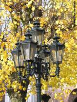 Alte Laterne auf der Schlossinsel vor Haus Wittringen (Gladbeck, NRW - November 2006)