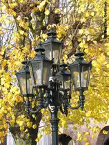 Alte Laterne auf der Schlossinsel vor Haus Wittringen (Gladbeck, NRW - November 2006)