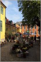 Flensburg. Einer der schnsten Hfe ist der Borgerforeningen. 04.09.2012