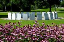 Bad Buchau, das  Zeitfeld , ein Kunstwerk von Axel F.Otterbach, besteht aus 24 Carrara-Marmor-Blcken und steht seit 1998 im Kurpark, Aug.2012