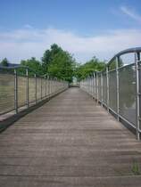 Der Businesspark Niederrhein ist nicht nur ein Gewerbegebiet, sondern auch ein Park mit sehr viel Grn, modernen Gebuden und Kunstobjekten.