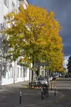 BERLIN, 07.10.2012, Sp�therbst in der Revaler Stra�e (Berlin-Friedrichshain)