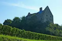 Burkheim am Kaiserstuhl, die Ruine des Schwendi-Schlo�es, 1251 erstmals erw�hnt wurde das Schlo� 1672 von den Franzosen zerst�rt und nie mehr aufgebaut, Sept.2012