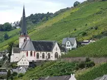 Katholische Pfarrkirche St.Maximin f�gt sich in die Weinberge bei Klotten; 120828
